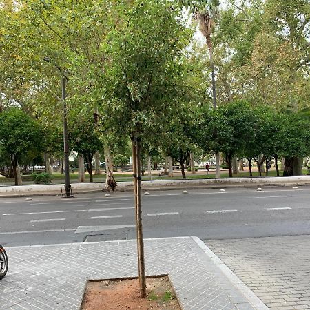 Apartmán Center Flat Tejares Córdoba Exteriér fotografie